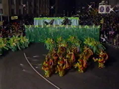 Rainforest, A Magical Thing